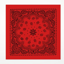 Cargar imagen en el visor de la galería, Pañuelo ELIA Rojo

